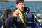 Perch Fishing Cutfoot Sioux