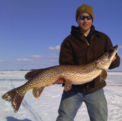 Northern Pike Lake of the Woods