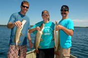 Northern Pike Grand Rapids