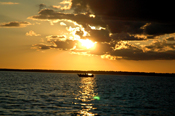 Lake Winnie Walleye Fishing