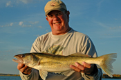 Walleye Champion Leech Lake