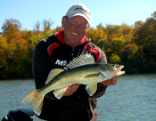 Walleye Fish Leech Lake