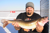 Walleye Cass Lake