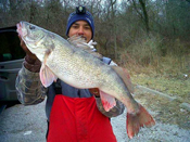 Walleye Mississippi River