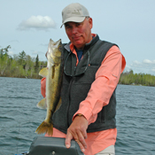 Don Hook Walleye