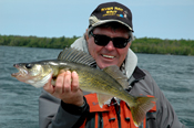 Island Lake Walleye