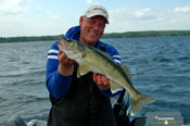 Walleye Guide