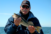 Walleye Leech Lake