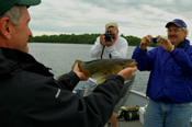 Walleye Jesse Priem