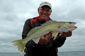 Walleye Guide Sundin