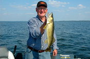 Walleye Lake Winnibigoshish