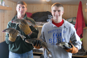 Walleyes Red Lake Ice Fishing