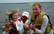 Weedline Walleyes