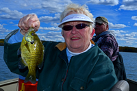 Bluegill Fishing Deer River MN