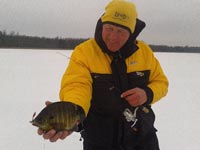 Ice Fishing Bluegill