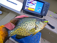 Crappie Fishing Guide Jeff Sundin 