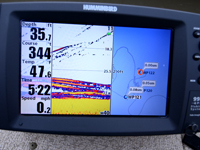 Crappies on Humminbird Screen