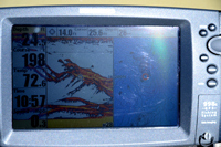 Smallmouth Bass On Humminbird Screen