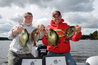 Crappie Fishing Chip Leer