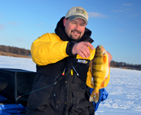 Ice Fishing Perch