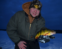 Perch Fishing Lake Winnie