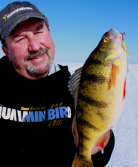 Perch Fishing Leech Lake