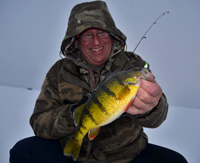 Perch Fishing Lake Winnie