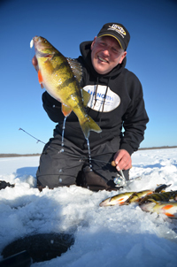 Perch Fishing Leech Lake