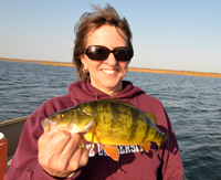 Leech Lake Perch Fishing