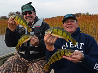 Leech Lake Perch Fishing