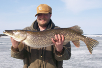 Northern Pike Rainy Lake