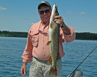 Northern Pike Pokegama