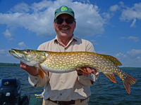 Northern Pike Fishing Winnibigoshish