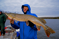 Tim Fiscbach Northern Pike