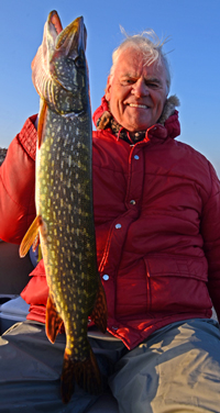 Northern Pike Pokegama Lake 