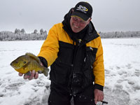 Ice Fishing Sunfish 