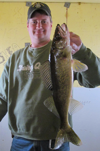 Lake of the Woods Walleye