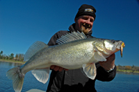 Jonny P Rainy River Walleye