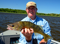 Walleye Fishing Blackduck Lake