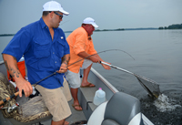 Walleye Fishing Sand Lake