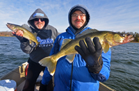 Leech Lake Walleye Action