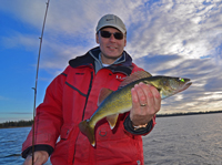 Walleye Fishing Late Fall