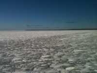 Lake Winnie Ice Conditions