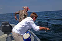 Landing a Walleye on Lake Winnie