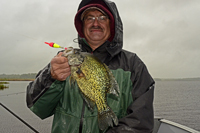 Crappie caught on Leech Lake by Tim Fischbach