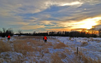 Pheasant hunting South Dakota