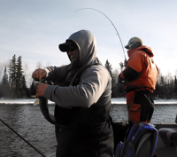 Rainy River Walleyes