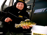 Ice Fishing Perch