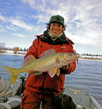 Walleye Rainy River