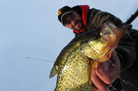 Image of Dave Bennet with large Crappie